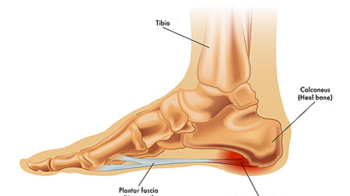 Foot and Ankle Pain Relief Wilmington, DE- Total Health & Rehabilitation-totobed.com.vn