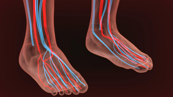 Understanding Poor Foot Circulation
