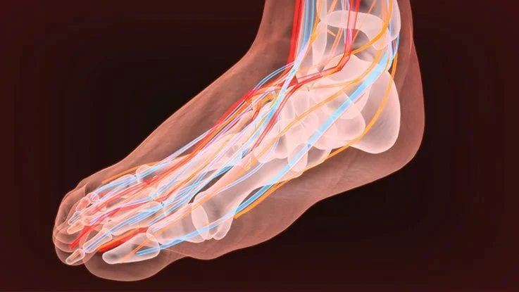 Vascular Problems of the Feet and Legs