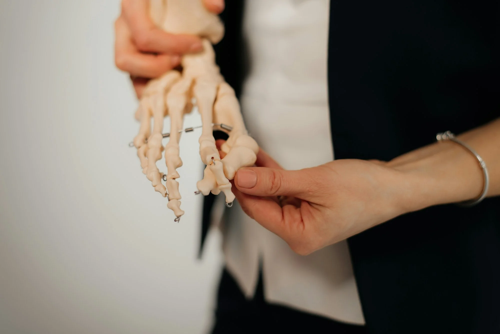 presentation of human foot with drawing of bones on the skin, and model of foot - comparison