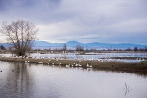 Sacramento Foot and Ankle Center - Folsom, CA